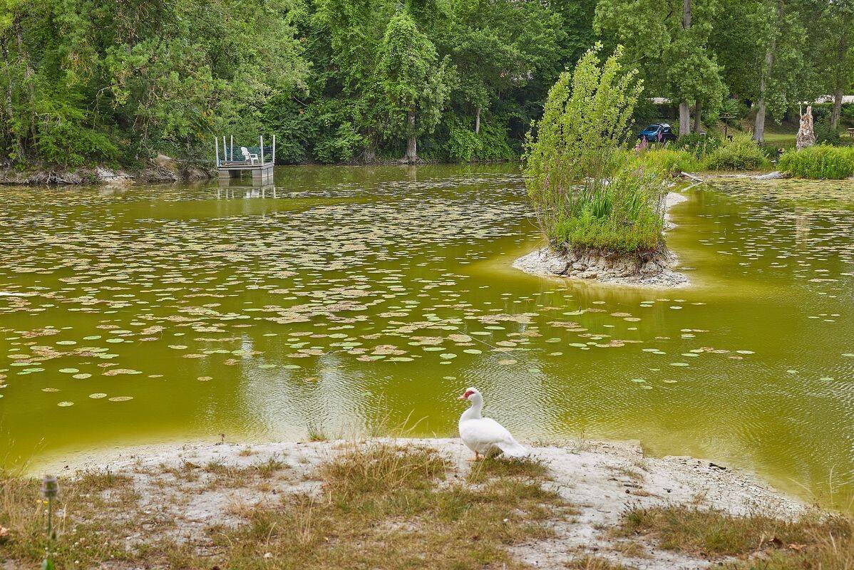 Campsite Le Parc des Allais, France