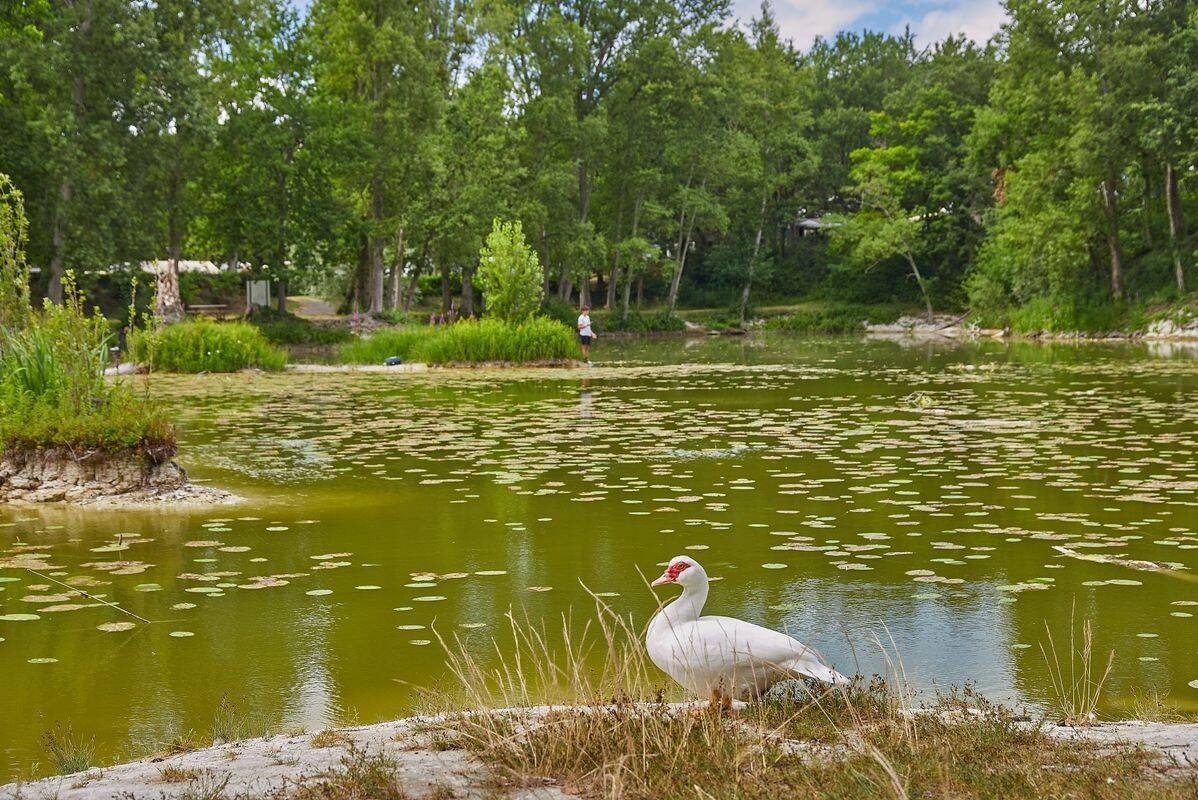 Campsite Le Parc des Allais, France