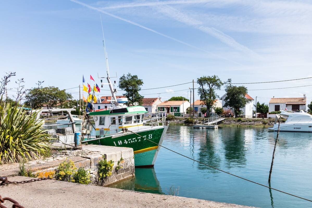 Campeggio Signol , Francia, Charente Marittima, St Georges d'Oleron