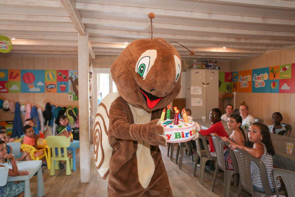 Campeggio Signol , Francia, Charente Marittima, St Georges d'Oleron