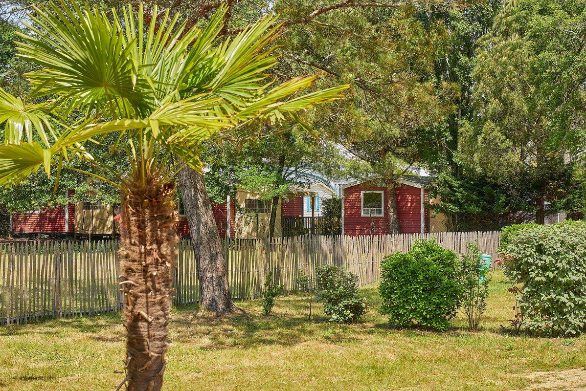 Campsite La Pinède, France, Charente Maritime