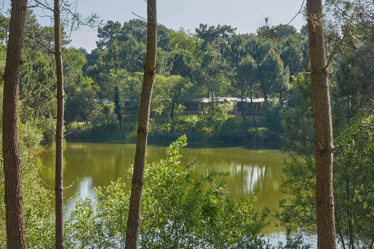 Campsite La Pinède, France, Charente Maritime