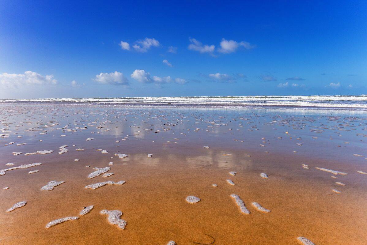 Camping Les Couleurs de la Coubre, France, Charente Maritime, Les Mathes