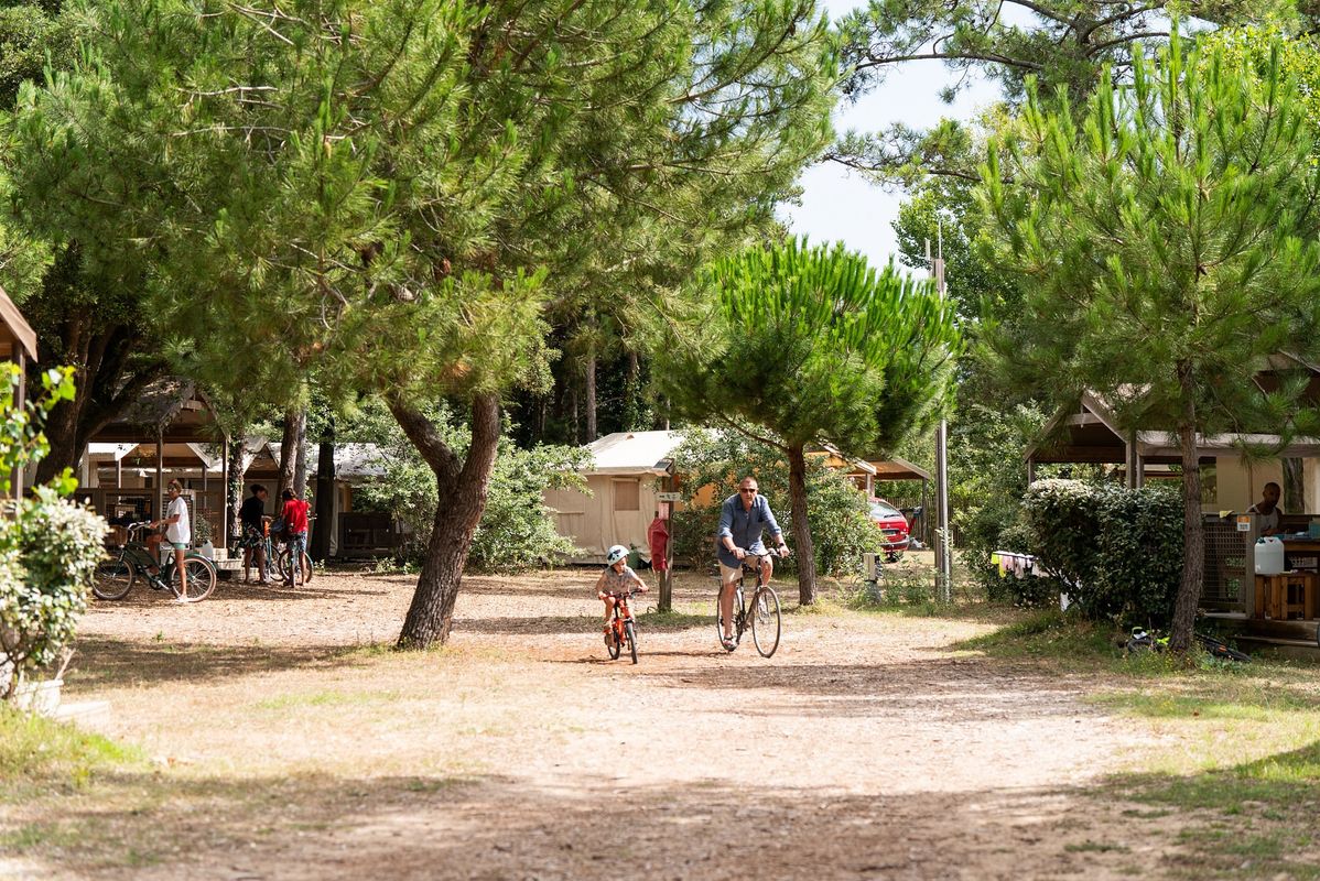 Camping La Côte Sauvage, France, Charente Maritime, Saint-Clément-des-Baleines