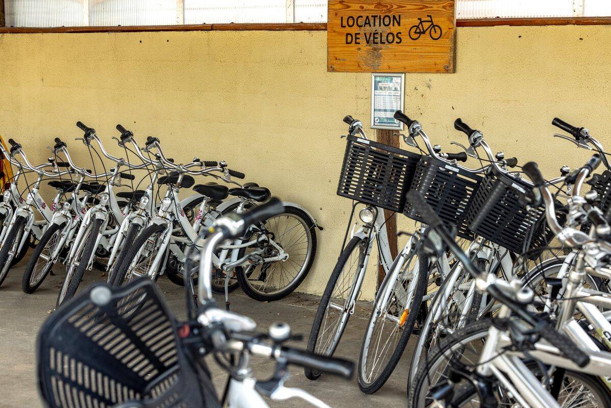 Campsite Les Catalpas de Royan, France, Charente Maritime