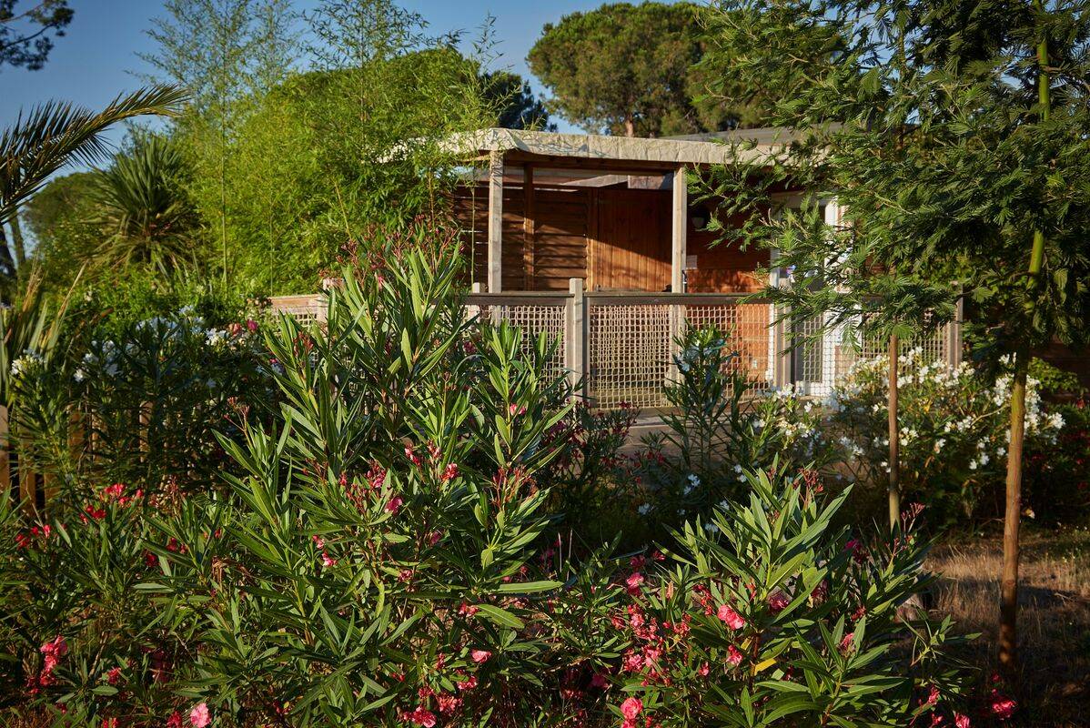 Campsite Domaine d'Anghione, France, Corsica