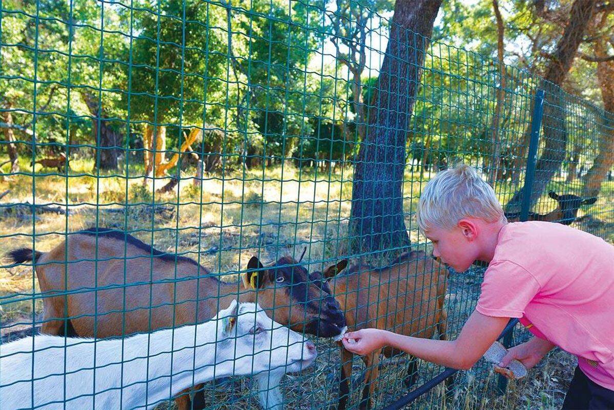 Campingplatz Via Romana, Frankreich, Korsika