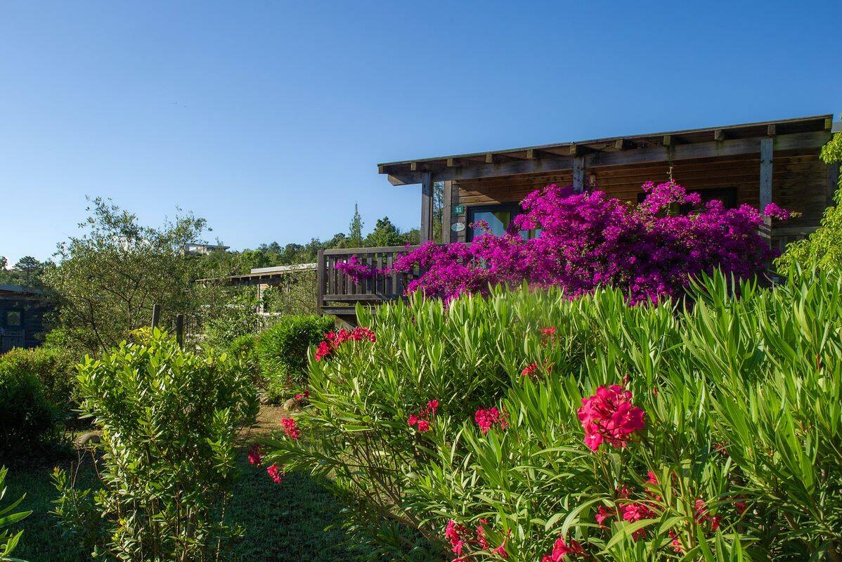 Campeggio Sole Di Sari, Francia, Corsica