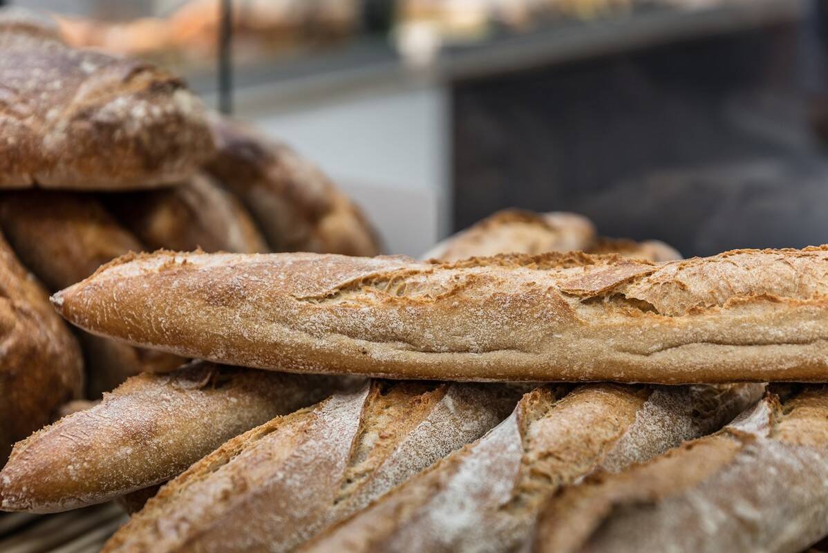 Campsite Paris-Est, France, Paris, Paris-Champigny