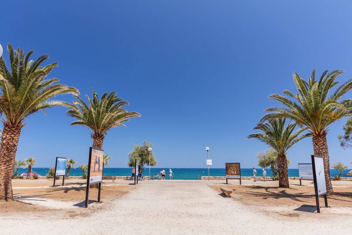 Campsite La Sardane, France, Languedoc Roussillon, Argelès sur Mer