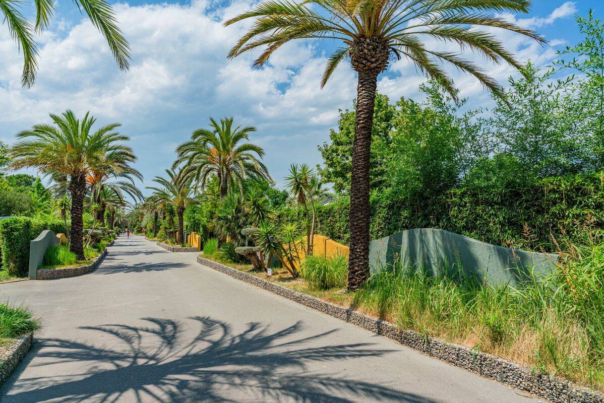 Camping La Sirène, Francia, Languedoc-Rosellón, Argelès sur Mer