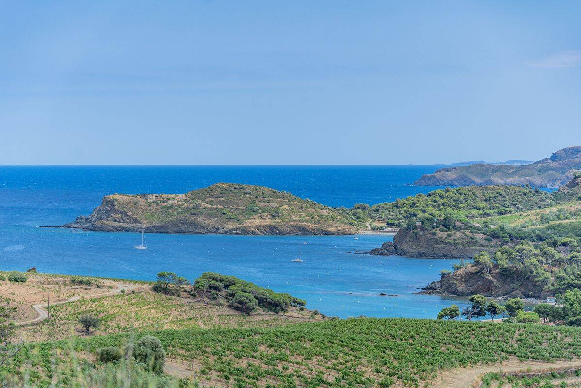 Campeggio Le Bois De Valmarie, Francia, Linguadoca-Rossiglione, Argelès sur Mer