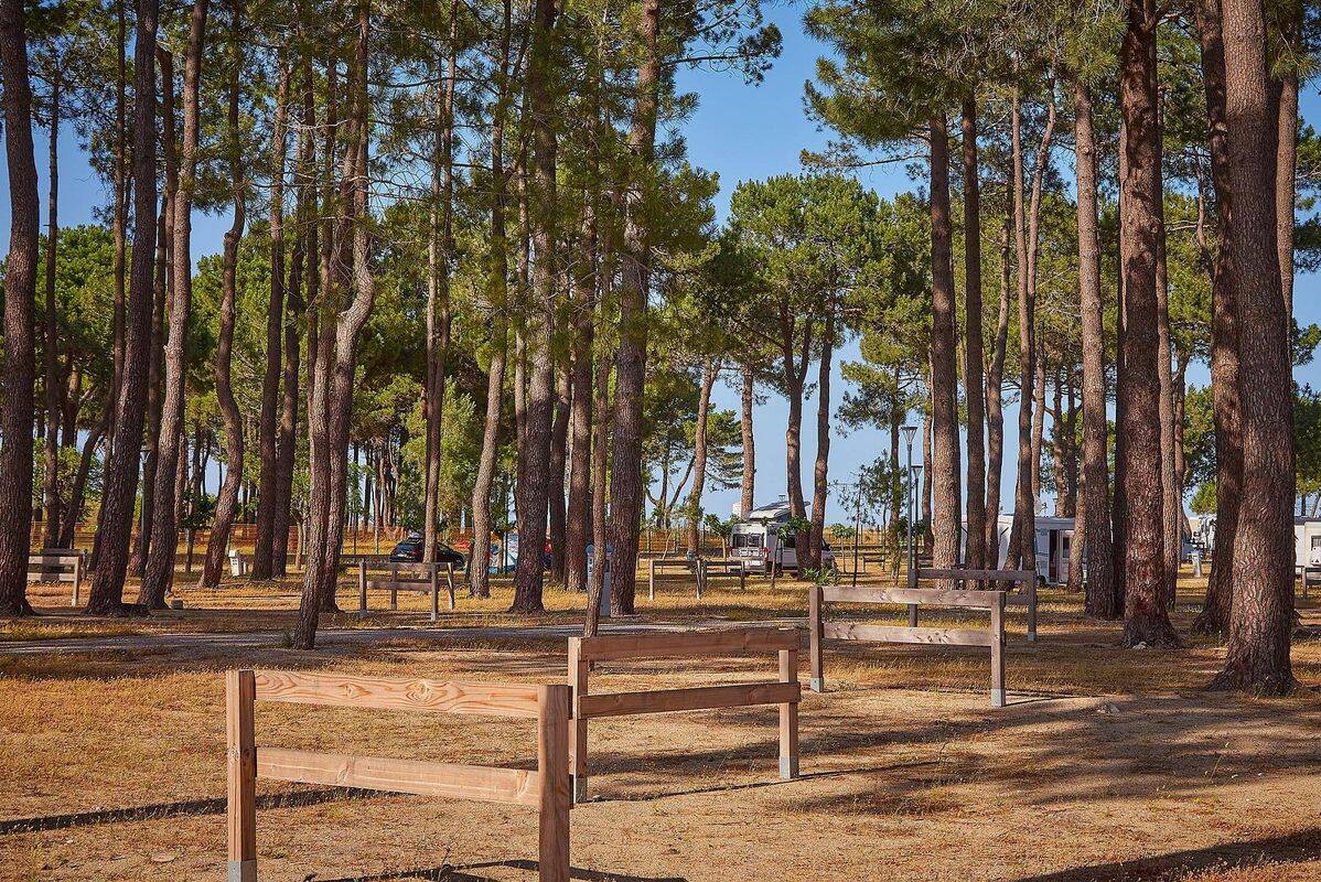 Campsite Le Roussillonnais, France, Languedoc Roussillon, Argelès sur Mer