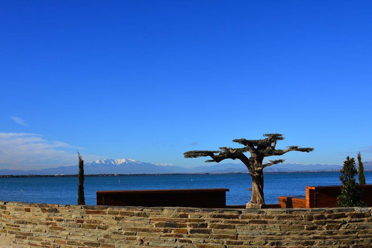 Campingplatz L'Oasis & California, Frankreich, Languedoc Roussillon, Le Barcarès