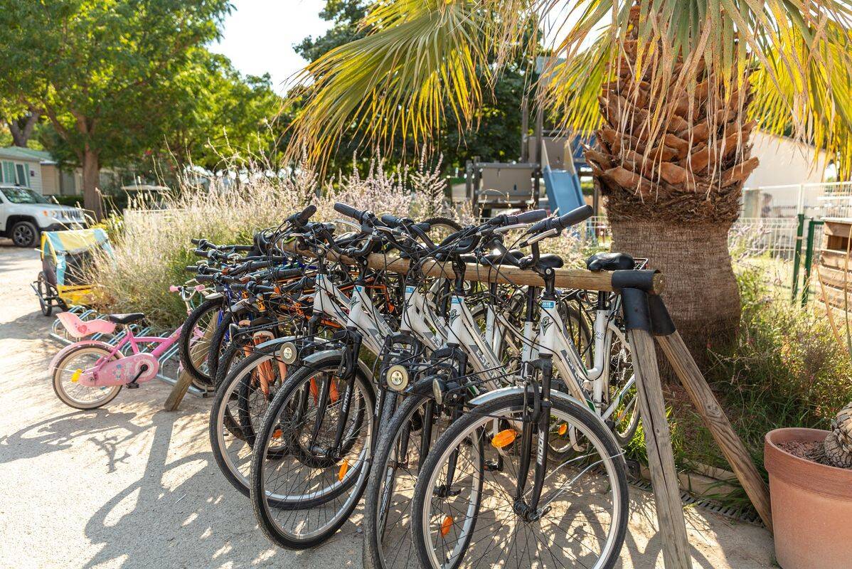 Campsite Le Bon Port, France, Languedoc Roussillon