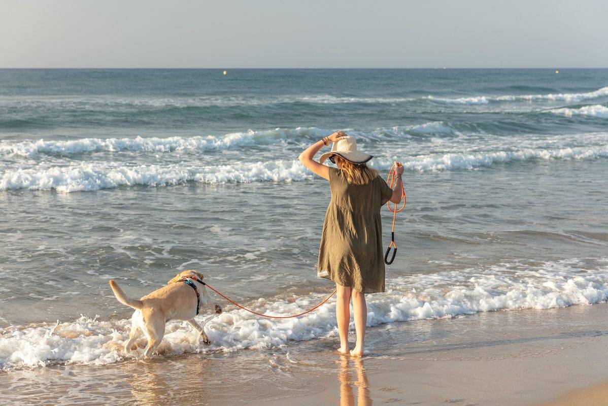 Campsite Le Castellas, France, Languedoc Roussillon