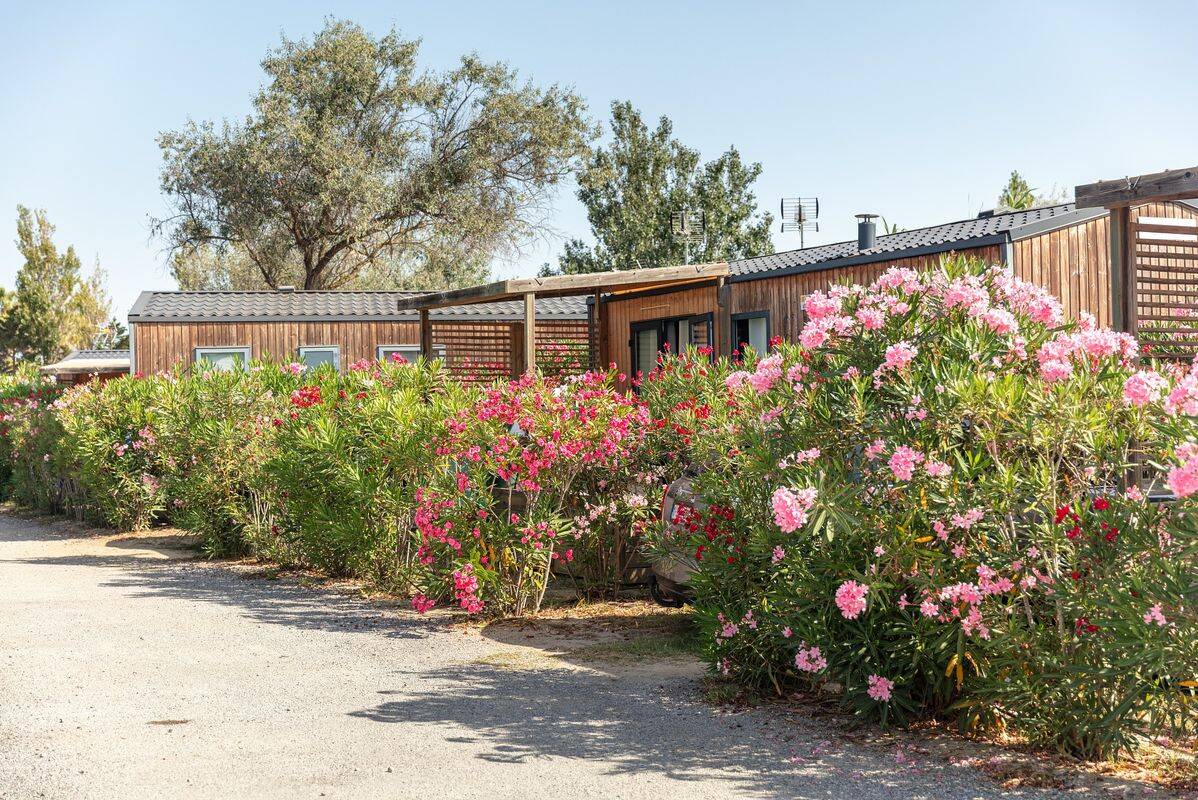 Camping Les Dunes, France, Languedoc Roussillon, Torreilles