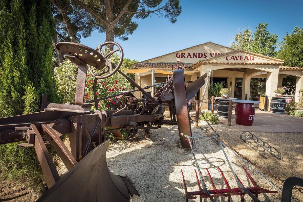 Visite du domaine viticole: Activité proposée par nos partenaires en accès direct depuis le camping. - Camping Domaine La Yole, France, Languedoc Roussillon, Valras-Plage