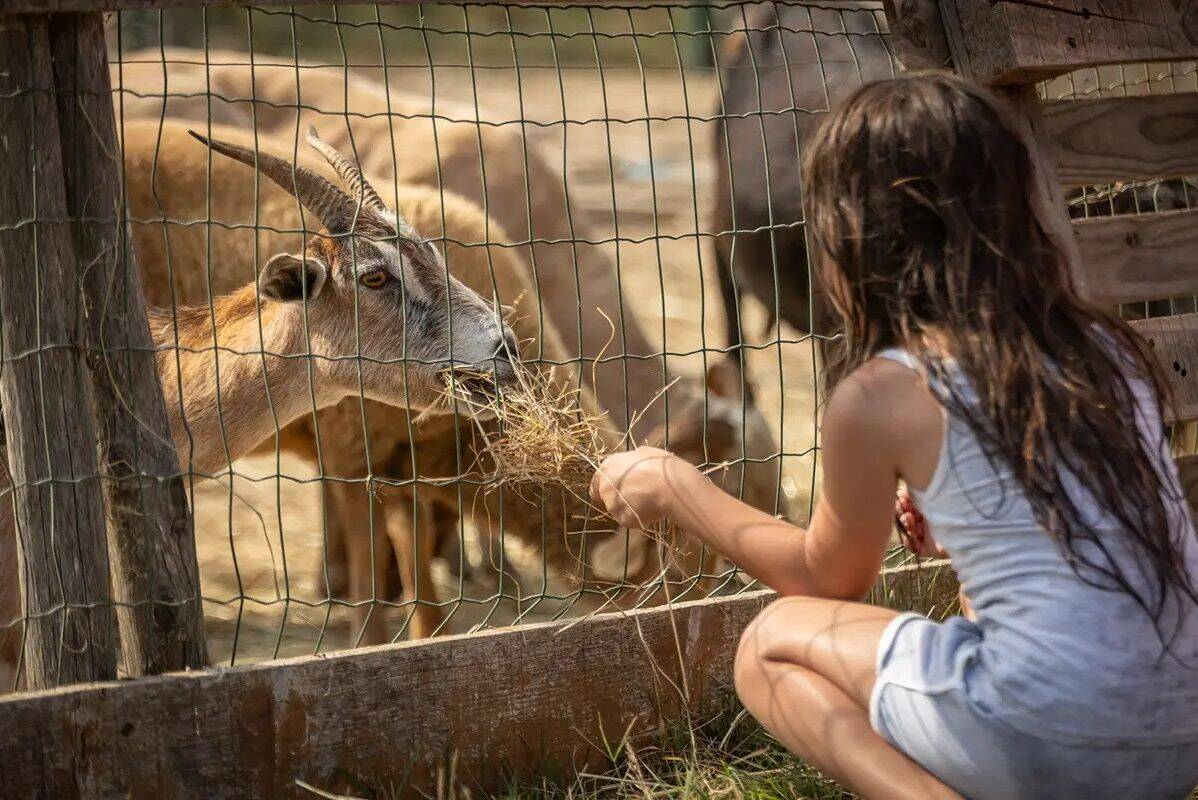 Campsite Le Méditerranée, France, Languedoc Roussillon, Vias Plage