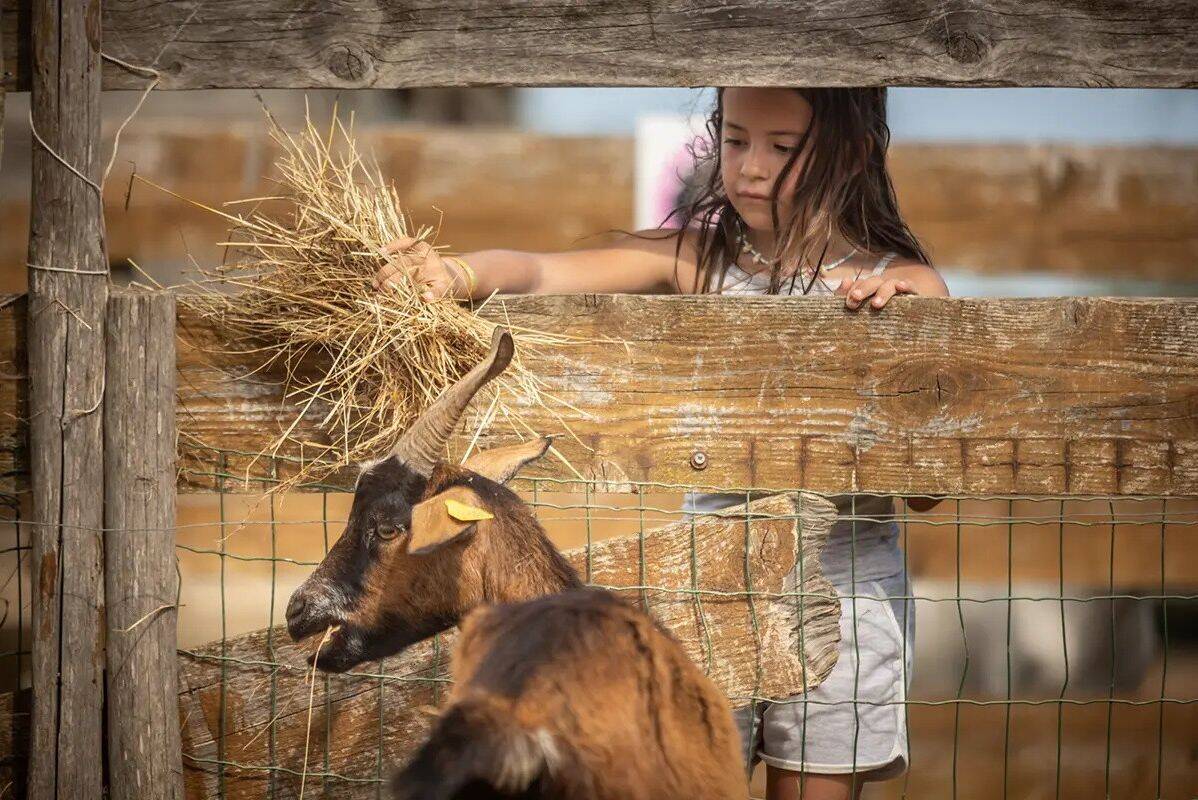 Campsite Le Méditerranée, France, Languedoc Roussillon, Vias Plage