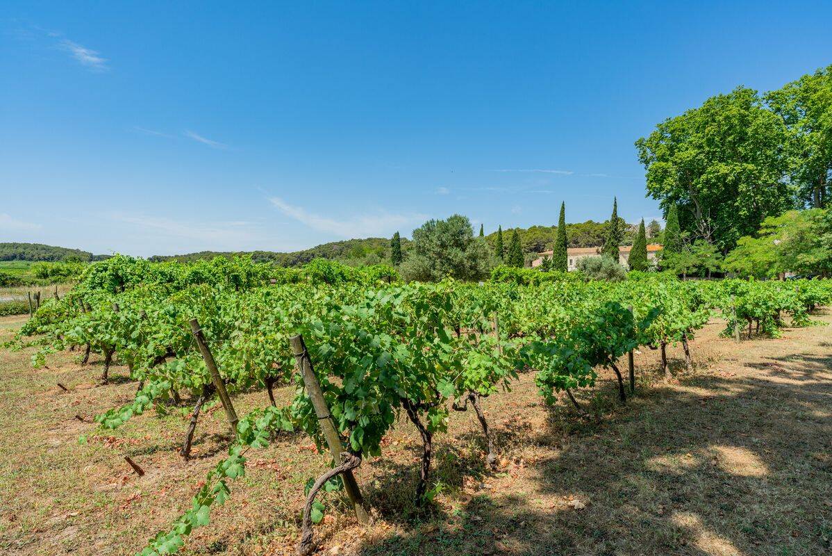 Camping Borepo, Francia, Languedoc-Rosellón