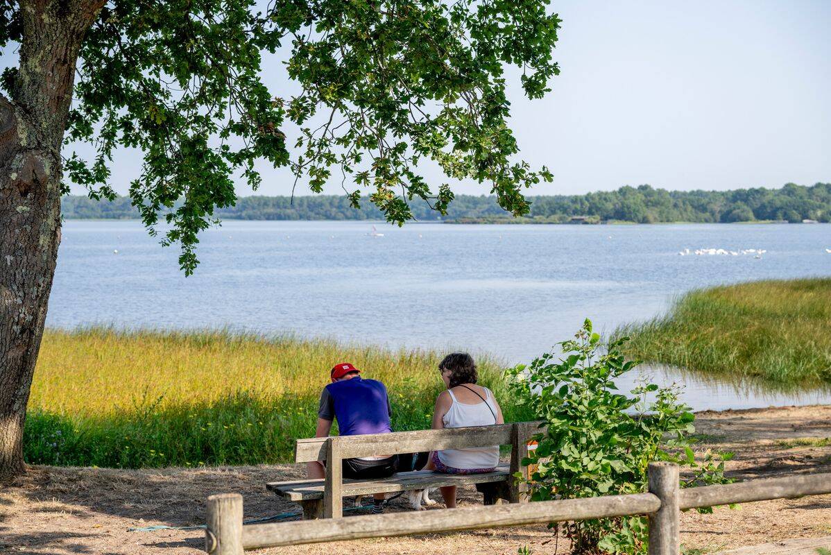 Campsite Rivages des Landes, France, Landes