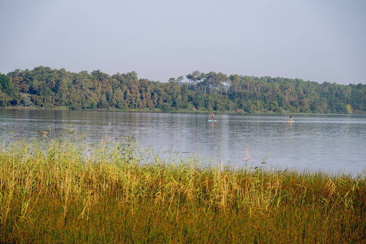 Campsite Rivages des Landes, France, Landes