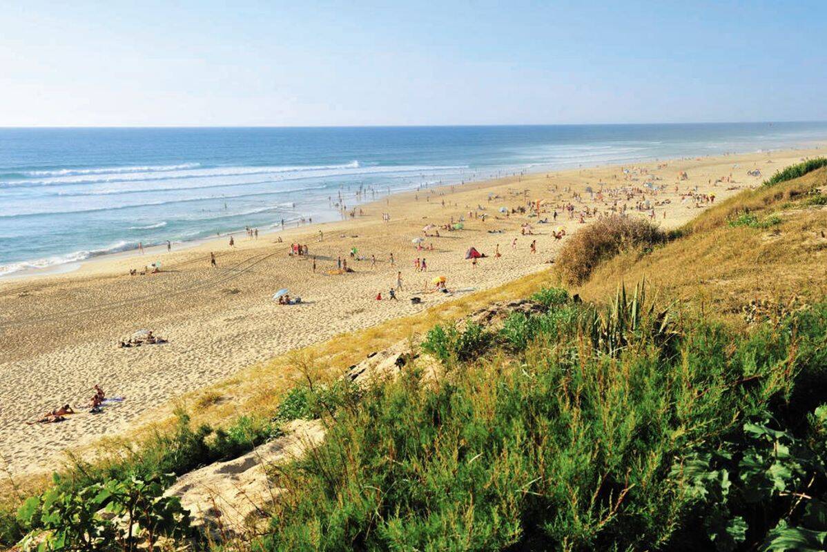 Plage du Cap de l'Homy, un espace naturel, sauvage et préservé de 10 km. Plage surveillée de mi-juin à mi-septembre. - Camping Le Soleil des Landes, France, Les Landes, Lit-et-Mixe