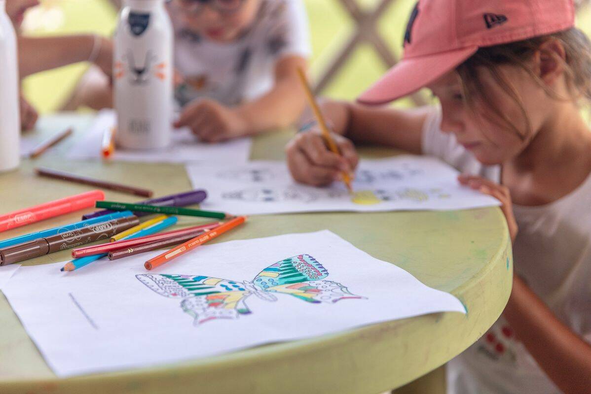 Campsite Les Vignes, France, Landes, Lit-et-Mixe