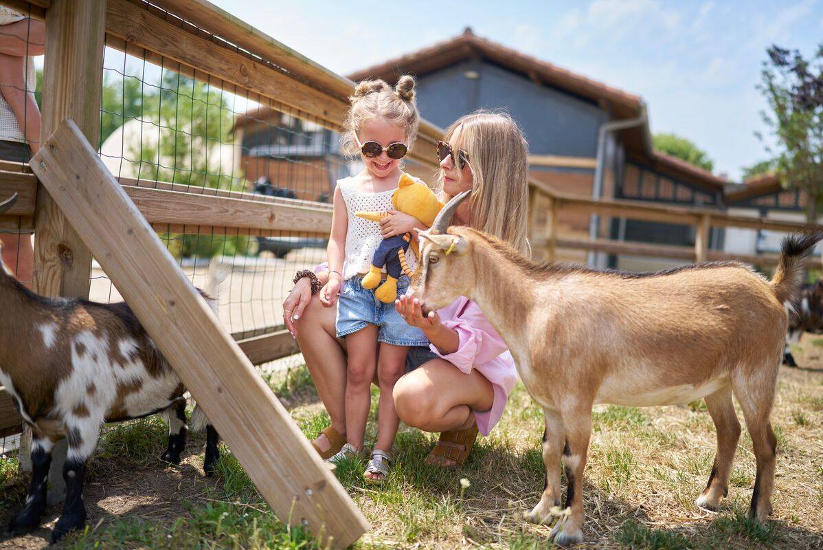 Campsite Les Vignes, France, Landes, Lit-et-Mixe