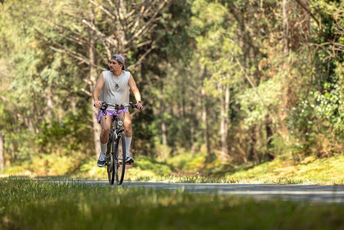 Camping Lou Pignada, France, Les Landes, Messanges