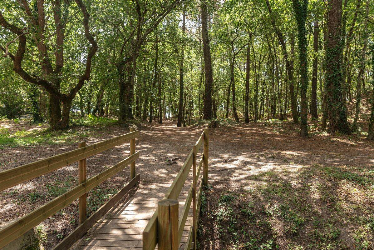 Campsite Lou Broustaricq, France, Landes, Sanguinet