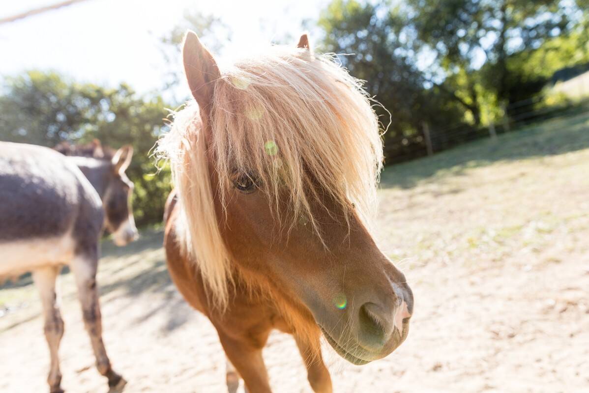 Camping La Vallée, France, Normandie, Houlgate