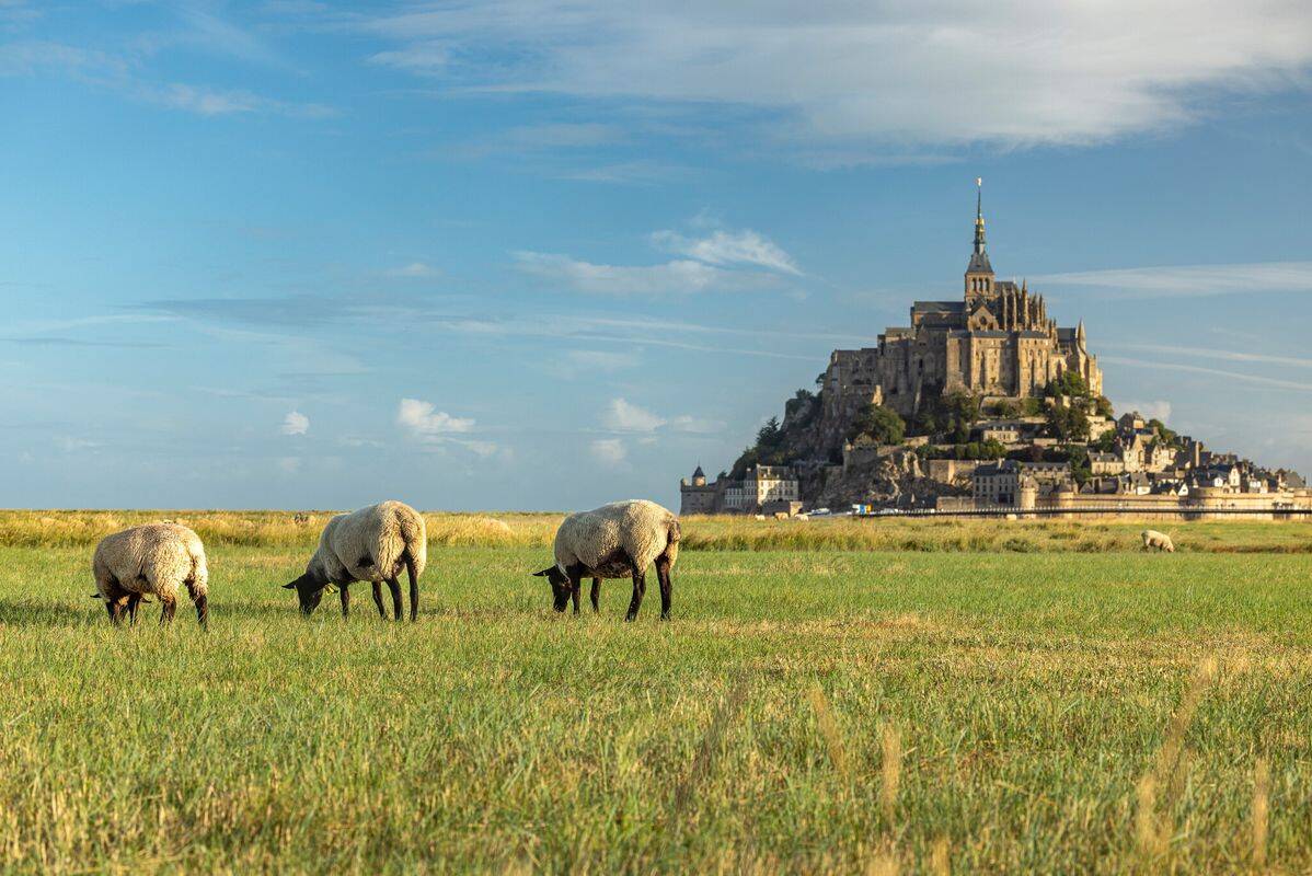 Campsite Les Pommiers du Mont Saint Michel, France, Normandy