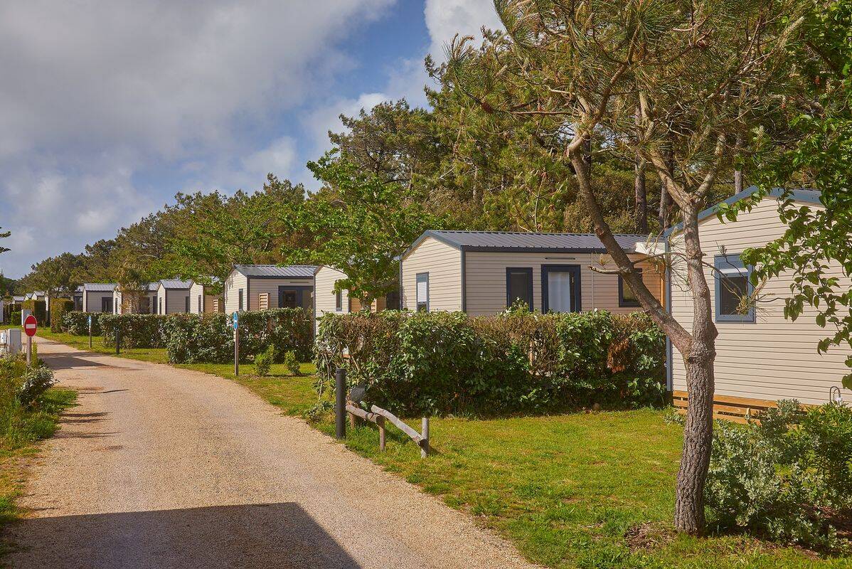 Campsite Les Chardons Bleus de la Turballe, France