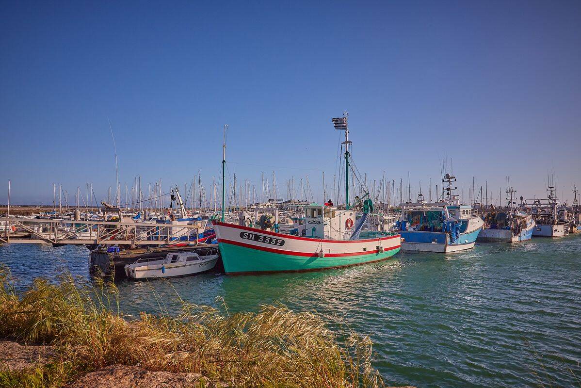 Campsite Les Chardons Bleus de la Turballe, France