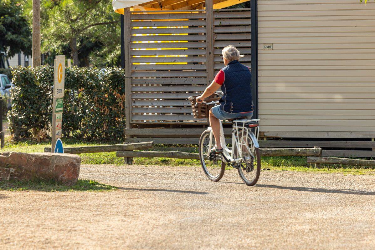 Campsite Les Chardons Bleus de la Turballe, France