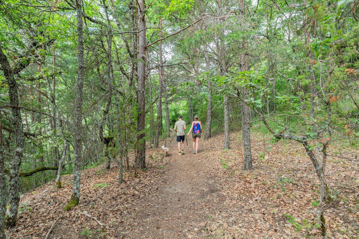 Campsite Les collines de Castellane, France, Provence French Riviera
