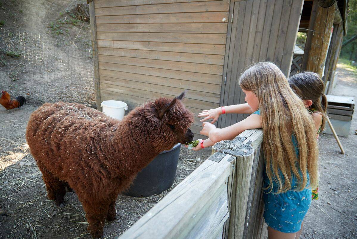 Campeggio Verdon Parc, Francia, Provenza Costa Azzurra
