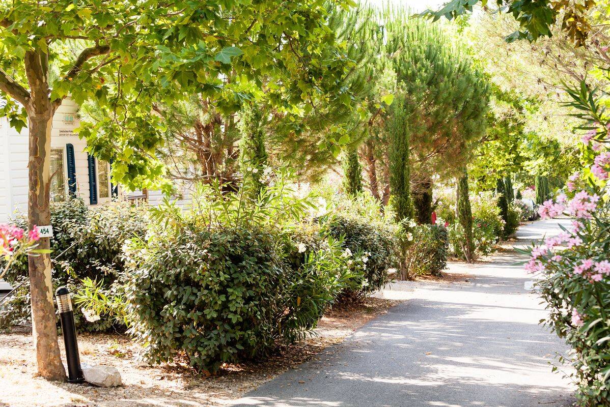 Camping La Baie des Anges, France, Provence Côte d'Azur, La Ciotat