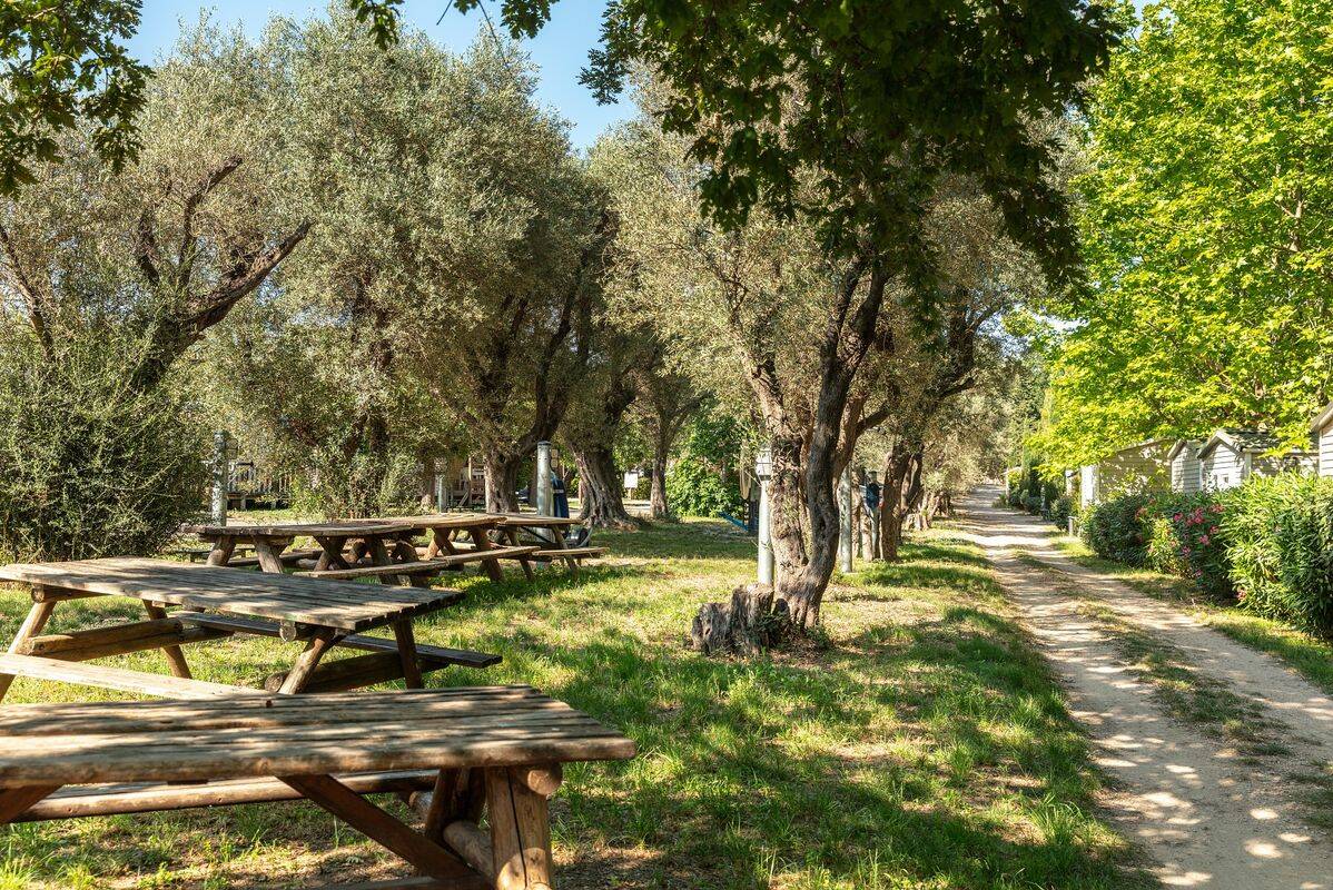 Campsite La Baie des Anges, France, Provence French Riviera, La Ciotat