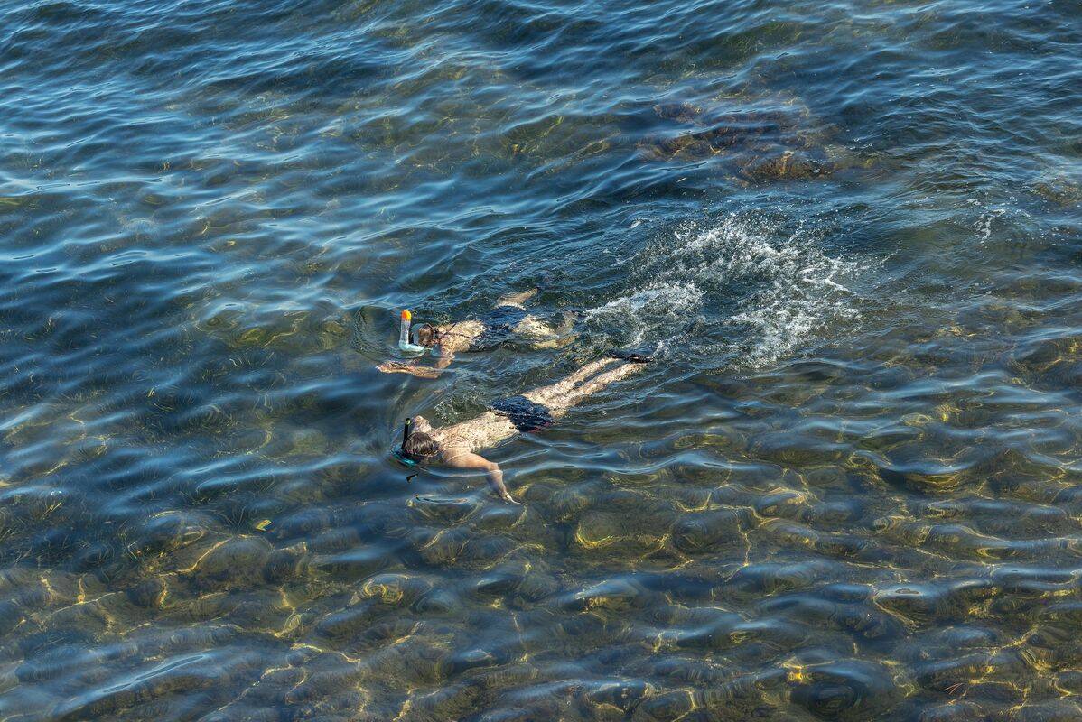 Camping Le Pansard, Francia, Provenza Costa Azul, La Londe