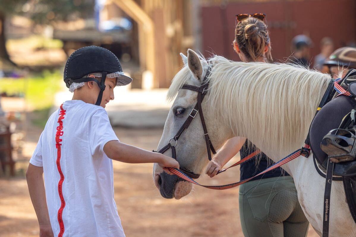 Campsite Domaine de la Sainte Baume, France, Provence French Riviera