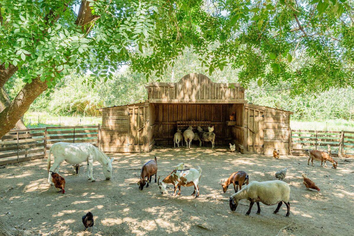 Campsite Les Prairies de la Mer, France, Provence French Riviera, Port Grimaud