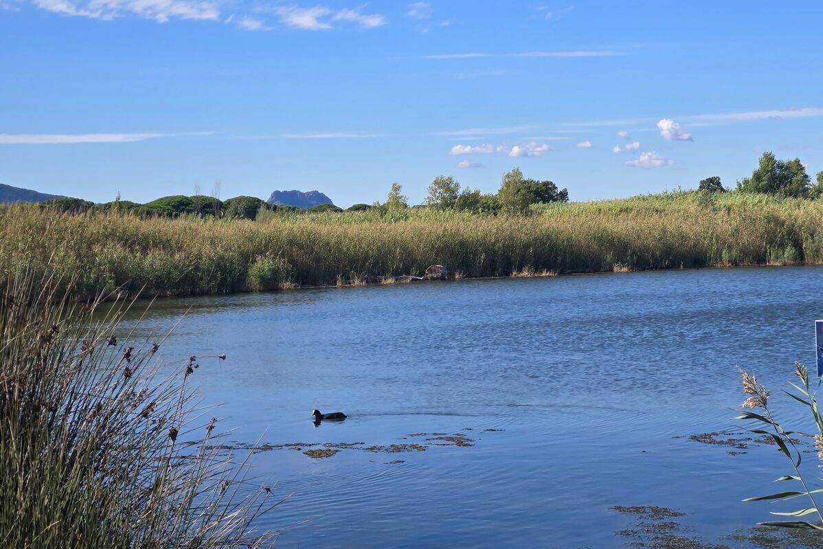 Campsite La Plage d'Argens, France, Provence French Riviera