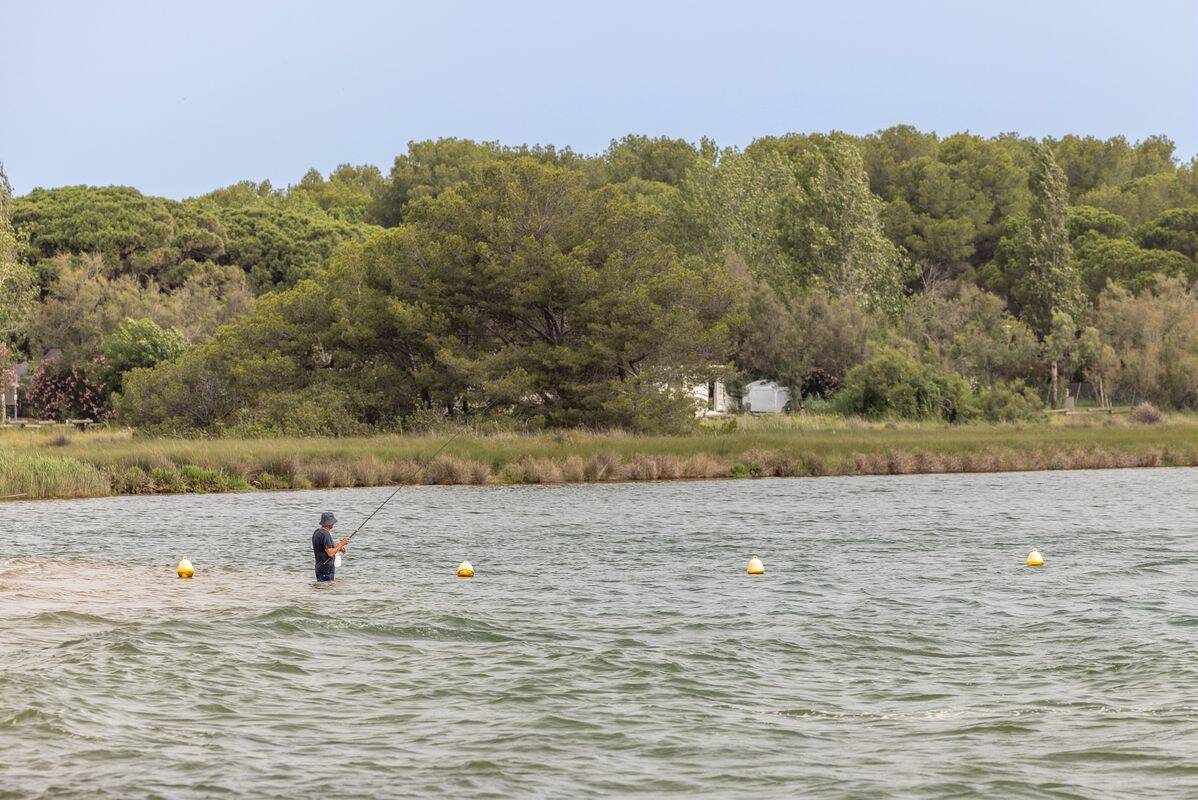 Campsite Saint-Aygulf Plage, France, Provence French Riviera