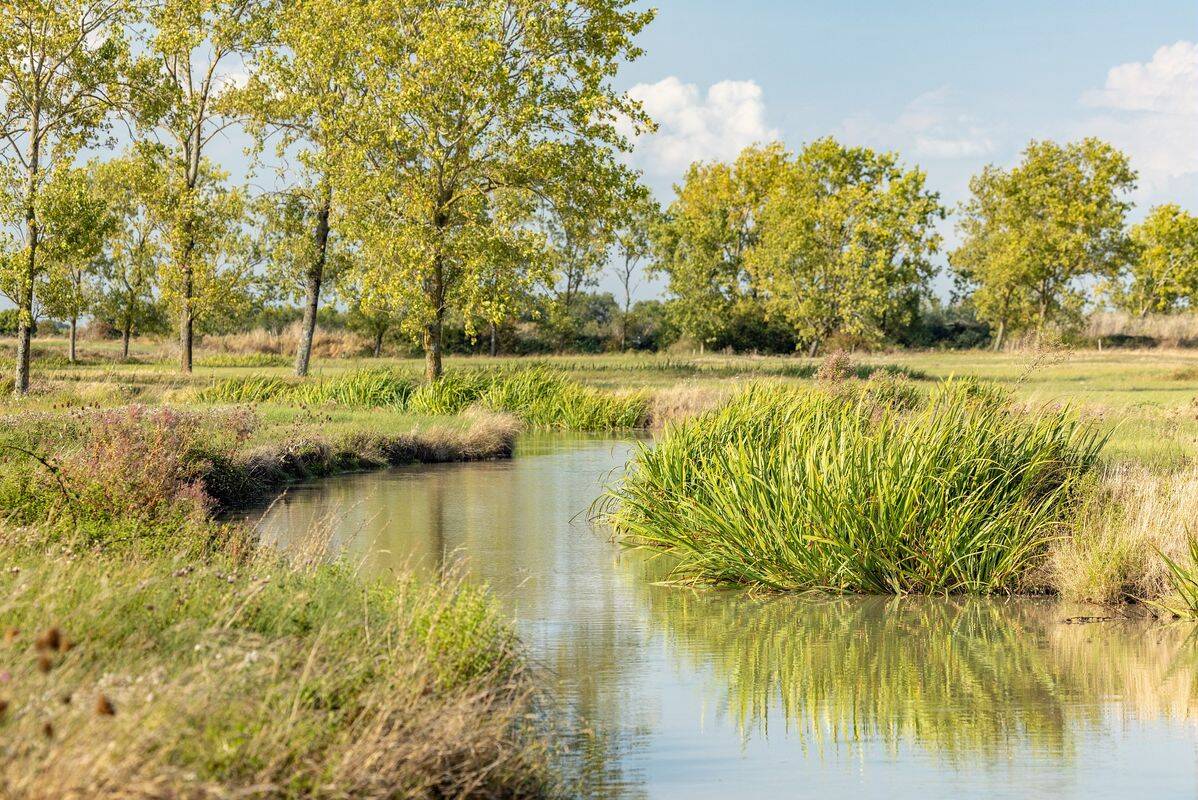Campsite L'Atlantique, France, Vendée
