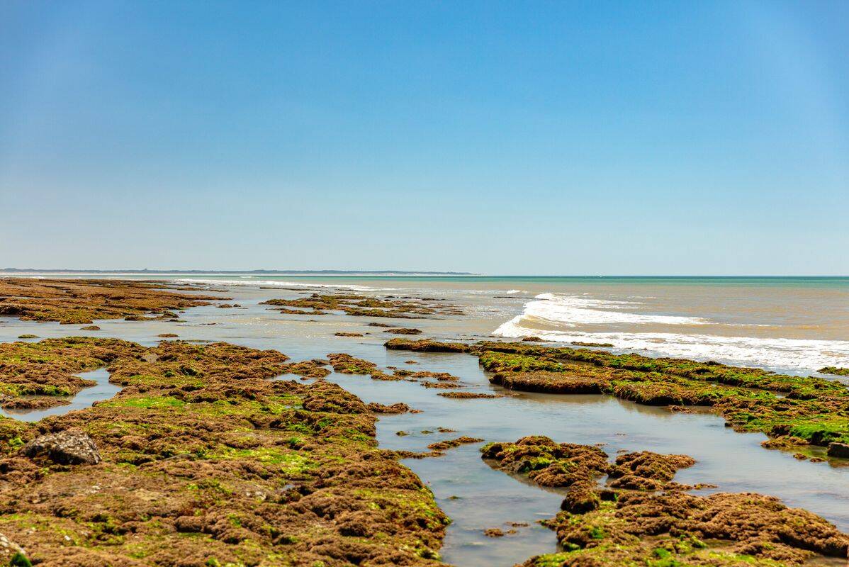 Campeggio L'Océano d'Or, Francia, Vendea