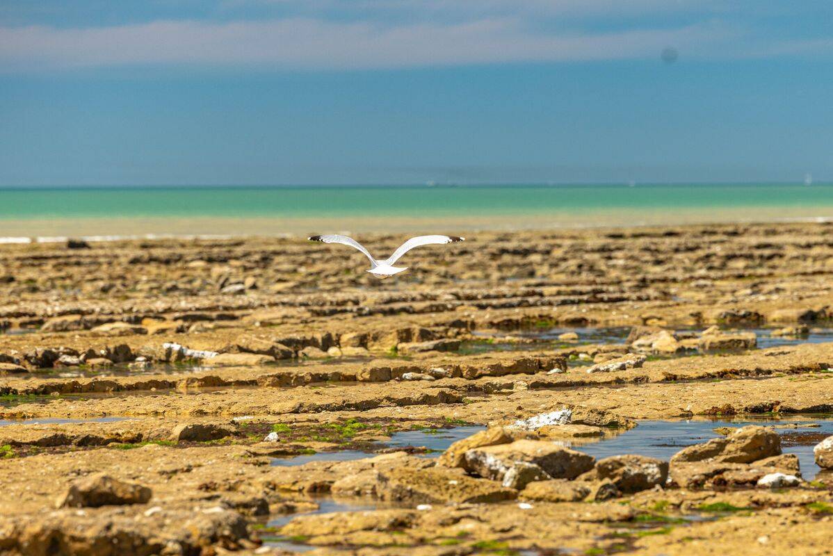 Campeggio L'Océano d'Or, Francia, Vendea