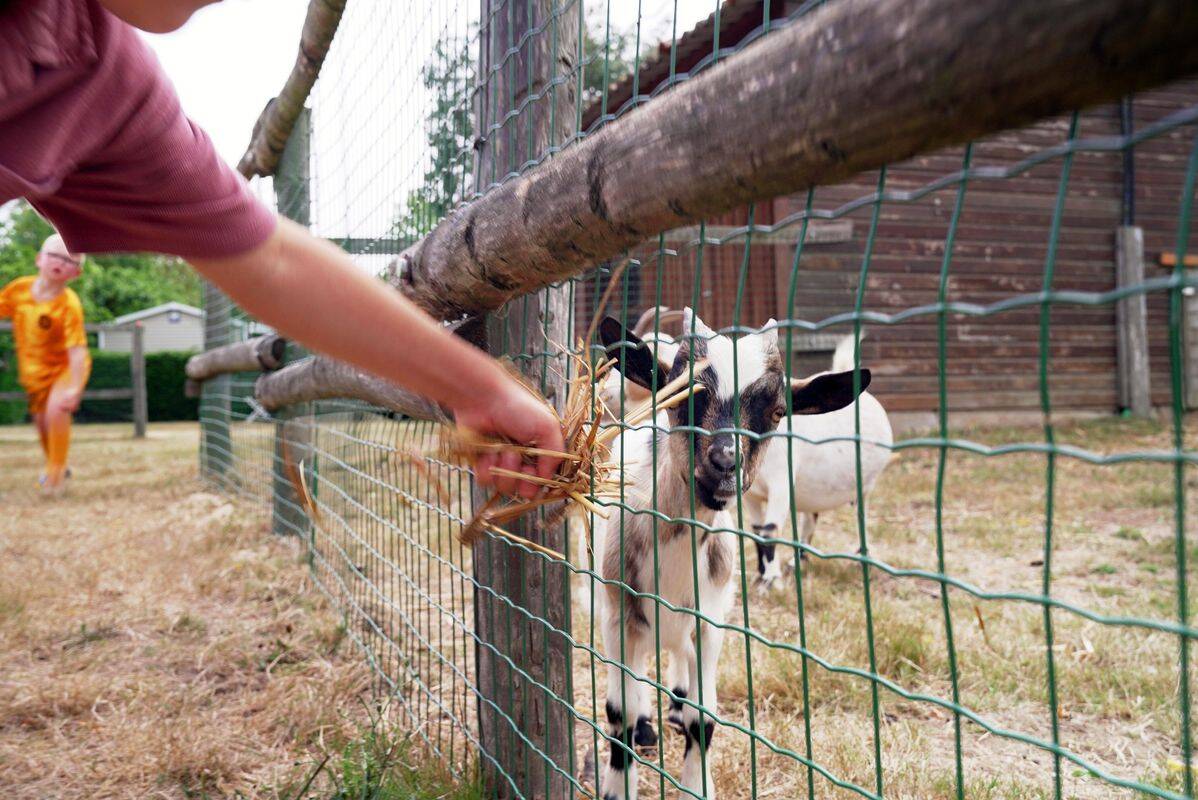 Camping La Guyonnière, Francia, Vendea, Saint-Julien-des-Landes